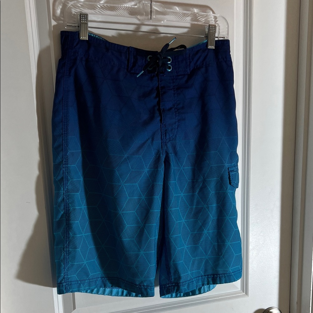 Speedo- Men's Blue Ombré Swim Shorts